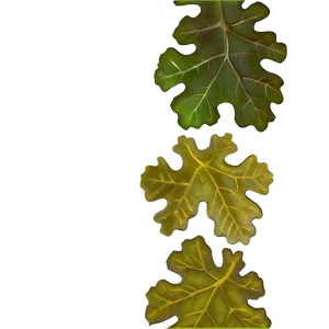 Oak Leaf Border Png Xkl70 PNG Image