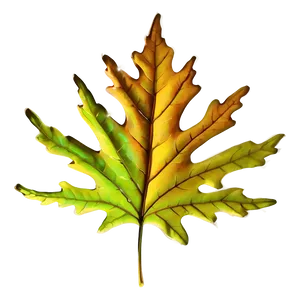 Oak Leaf C PNG Image