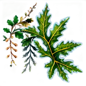 Oak Leaf Decoration Png 06292024 PNG Image