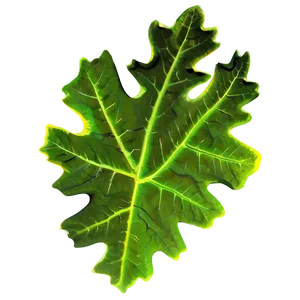 Oak Leaf Icon Png 95 PNG Image