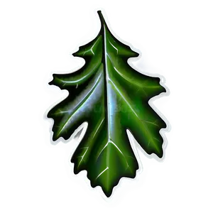 Oak Leaf Illustration Png Luu PNG Image