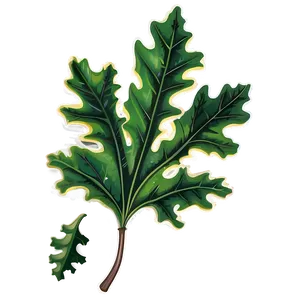 Oak Leaf Illustration Png Tvm82 PNG Image