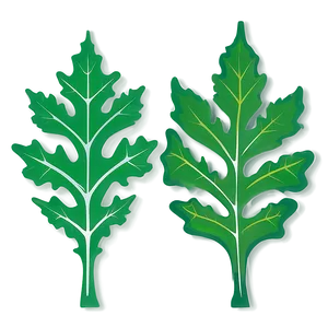 Oak Leaf Vector Png 75 PNG Image