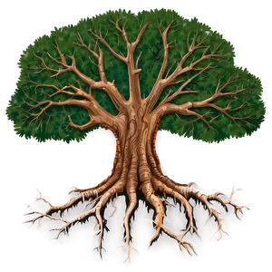 Oak Tree Root System Png Hhw91 PNG Image