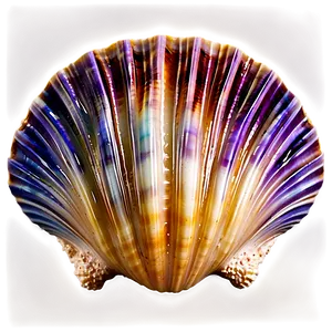 Ocean Clam Shell Png Sri51 PNG Image