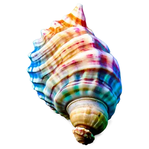 Oceanic Conch Shell Graphic Png 94 PNG Image