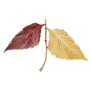 October Leaves Falling Png Bsy PNG Image