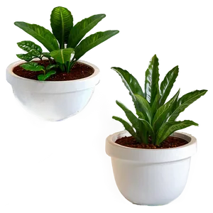 Office Desk Potted Plants Png 06122024 PNG Image