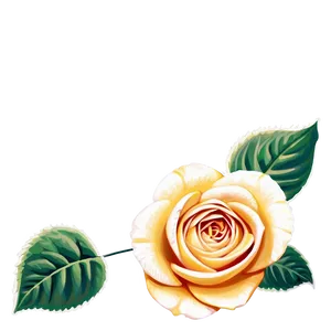 Old-fashioned Rose Graphic Png Ems PNG Image