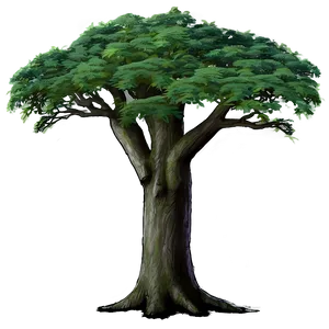 Old Growth Forest Tree Png Gxj16 PNG Image