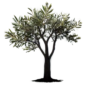 Olive Tree Silhouette Png 17 PNG Image