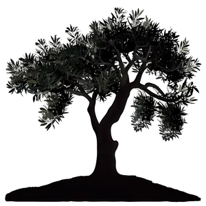 Olive Tree Silhouette Png 72 PNG Image