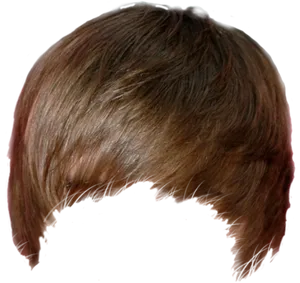 Ombre Hairstyle Back View PNG Image