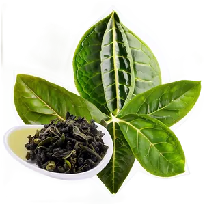 Oolong Tea Leaf Png Jcu PNG Image