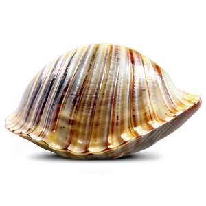 Open Clam Shell Png 61 PNG Image