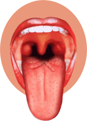 Open Mouthand Tongue View PNG Image