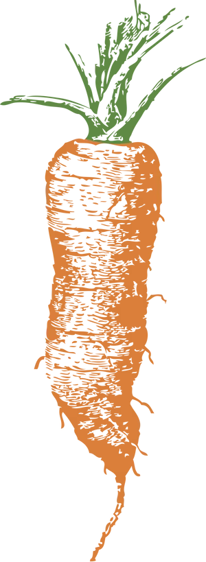 Orange Carrot Illustration.png PNG Image
