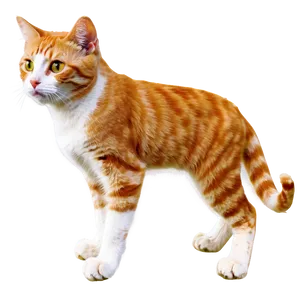 Orange Cat Png 05232024 PNG Image