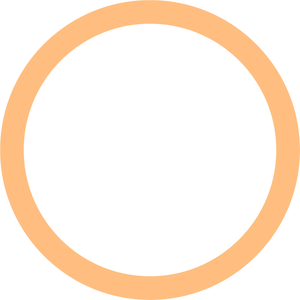 Orange Circle Outline Graphic PNG Image