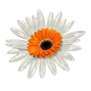 Orange Daisy Illustration Png Iqj32 PNG Image