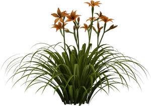 Orange Daylilies Bouquet PNG Image