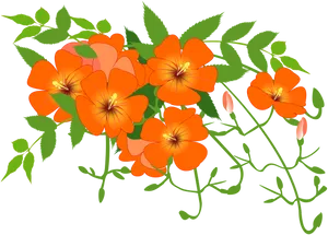 Orange Floral Vine Illustration PNG Image