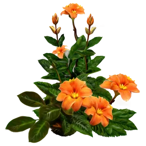 Orange Garden Flower Png Adm52 PNG Image