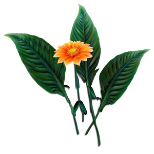 Orange Garden Flower Png Uqn52 PNG Image