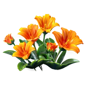 Orange Garden Flower Png Wuk PNG Image