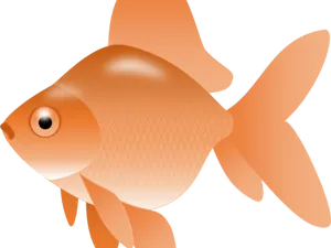 Orange Goldfish Illustration.png PNG Image