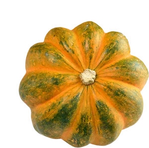 Orange Green Patterned Squash PNG Image