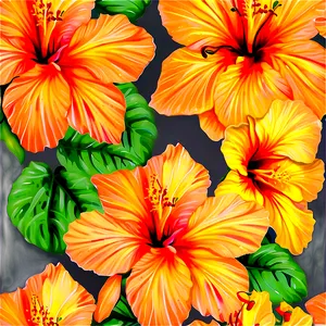 Orange Hibiscus Beauty Png 46 PNG Image