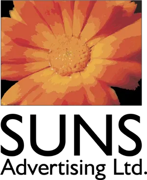 Orange Marigold Flower Advertisement PNG Image