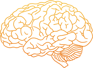 Orange Outline Brain Clipart PNG Image