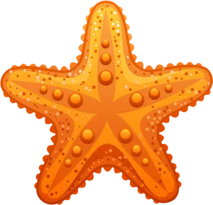 Orange Starfish Clipart PNG Image