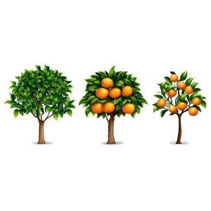 Orange Tree B PNG Image