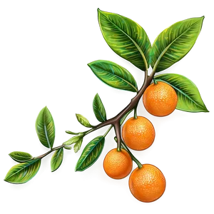 Orange Tree Branch Png 1 PNG Image