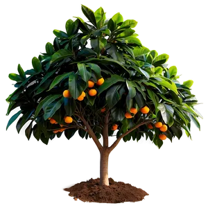 Orange Tree Leaves Png Mje33 PNG Image