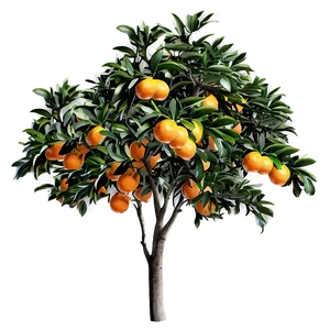 Orange Tree Png Tqg62 PNG Image