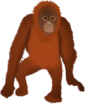 Orangutan Illustration PNG Image