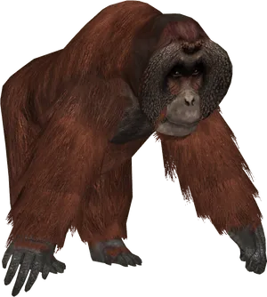 Orangutan Standing Transparent Background PNG Image