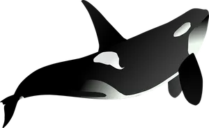 Orca Silhouette Artwork PNG Image