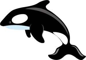 Orca Whale Cartoon Clipart PNG Image