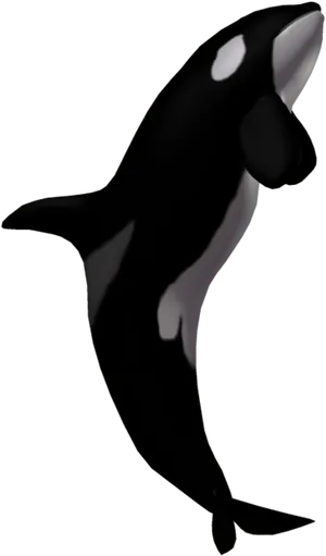 Orca Whale Clipart Illustration PNG Image