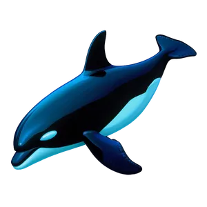 Orca Whale Illustration Png Tex PNG Image