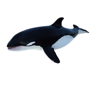 Orca Whale In Sunset Png Rst PNG Image