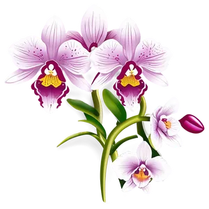 Orchid Flower Cricut Creation Png Ila17 PNG Image