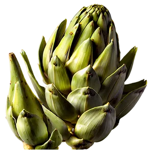 Organic Artichoke Png 63 PNG Image