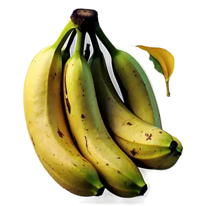 Organic Banana Png Ciw21 PNG Image