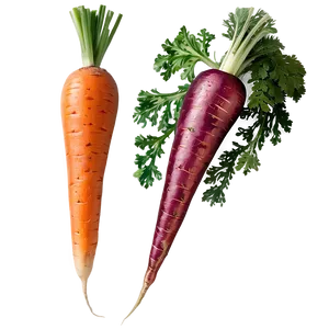 Organic Carrot PNG 15 PNG